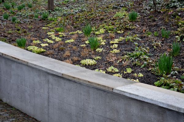 Concrete Wall Construction in Pleasant Grove