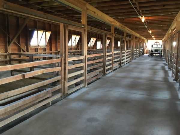 Barn Slab Construction in Pleasant Grove
