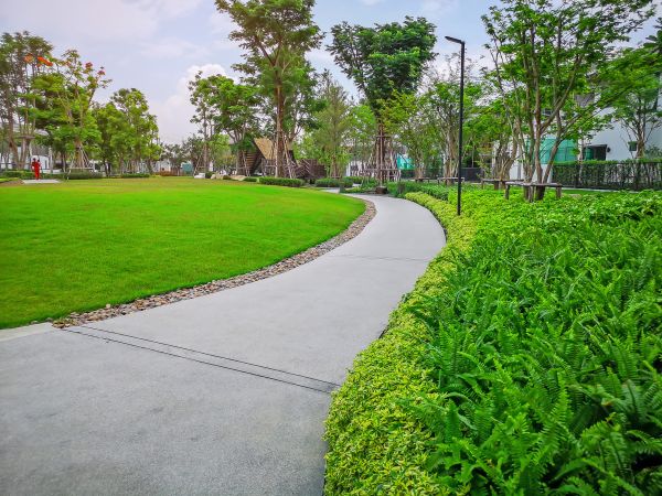 Cement Walkway Service in Pleasant Grove